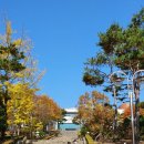 경상북도산림과학박물관(휴관) 이미지