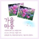 남해토탈기프트 이미지