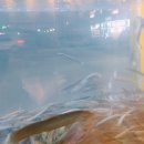 엄니시골추어탕(팽성점) 이미지