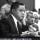 플랜피 이미지