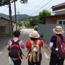 (2019/07/10) 5코스 일부구간 수요걷기 후기(둔1리 마을회관 ~ 수덕사/6.9km) 이미지