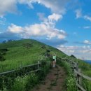 두바퀴쉼터옆 | (정선)민둥산 최최단코스후기(25.7.28) -&#34;돌리네의 숨결, 여름의 능선에서 만난 자연의 아름다움&#34;