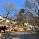 줄줄이도너츠 | 양주눈꽃축제 썰매장 다녀온 후기 (+ 내려오는 길에 발견한 꽈배기 맛집)