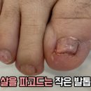 레푸스강남세곡점 이미지