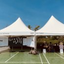 퍼피랜드 이미지