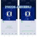꽃이피어나
