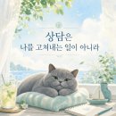 마인드케어심리치료센터 - 평택시 평택5로34번길 30 | 왜 나는 매번 같은 방식으로 상처받을까.. 인천 검단 성인 심리상담 도담마인드케어