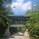 천황사 대웅전 석가여래삼존불상 및 대좌·수미단 | 전북 부안 개암사의 보물을 찾아서