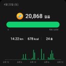 파크주유소 | 220423 순천에서 남원으로:) 여행 셋째날