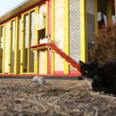 강동구청 성안별관 이미지