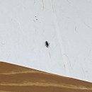 태성이발 - 천안시 동남구 원거리11길 24 | 태성이발