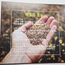 모밀 | 광주 북구 동림동 모밀 맛집 산수옥 모밀 후기