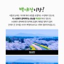 노원성모안과의원 이미지