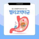 홍택종심혈관리하는내과의원 | 고덕역내과 명일동내과 / 고덕바른속내과 ) 평소 소화 불량이 원인이 될 수 있는 헬리코박터균