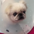 토닥토닥동물병원 이미지