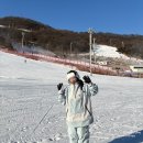지산스키장 리프트권 가격 할인ㅣ아리랑스키 렌탈샵 대만족 후기