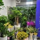 아름다운 행정사 이미지