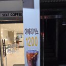 포시즌247
