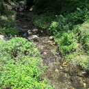 최강부동산중개사무소 이미지