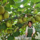 원앙농장 이미지