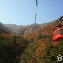 금오산 이미지