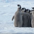 우정 동물병원 이미지