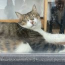 유에이치 스위트 | 부산 해운대 유에이치 스위트 UH SUITE 디럭스 패밀리룸 후기, 광안리 요트투어 라나요트 - 부산여행, 맛집