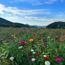 용수골매점