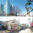 로타리건재