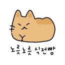 라플라너리 이미지