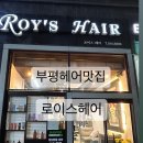 로이스헤어 이미지