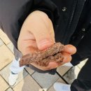 벌교맑은의원 이미지