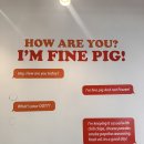 아임 파인 피그(I'm Fine Pig ) 이미지