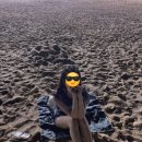 (주)파인가든 이미지