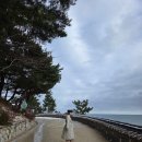 한자로의 산책 | 양양 여행 코스 추천｜겨울에 더 좋았던 낙산사 산책 후기 (주차·입장료)