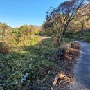 그리향 펜션 이미지