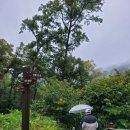(주)테크빌리지 | 청평 | 청평당일여행 추천 청평호수길 산책