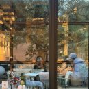 떼제베스크린 | 신혼여행, SNCF 어플 예약방법, 파리행 떼제베(TGV) 1등석 후기, 바르셀로나에서 파리 가는 방법, 우버...