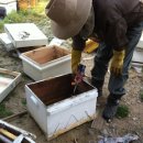 풍촌농장 이미지