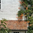 스테이변산바람꽃 이미지