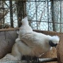 제경농장 이미지