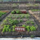 대촌농장 이미지