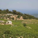 (주)사모스 이미지