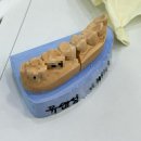 유앤성부부치과의원 | <세종> 유앤성부부치과 다녀왔습니다🦷