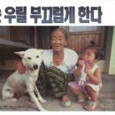 백구 이미지
