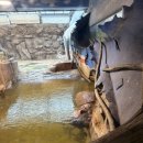 아라마루 이미지