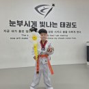 눈부시게 빛나는 태권도장 이미지