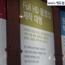일일유통