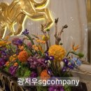엠쥐엠 이미지