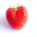 리미티드 짐 이미지